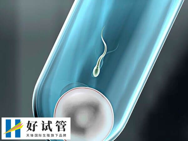 鲜胚移植第九天B超能否看出来(图2) 试管移植后第九天胚胎尚未发育到足够大小