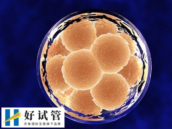 冻胚移植的流程是怎样的(图1) 冻胚移植前要进行内膜准备