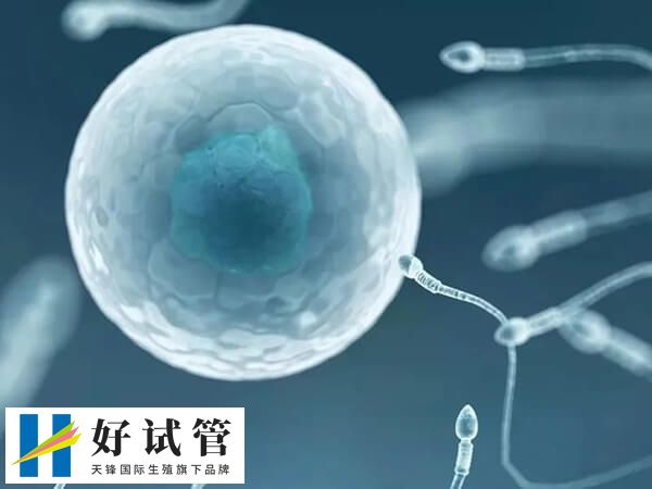 多次促排卵治疗使卵巢过度刺激