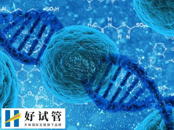 哪些因素会影响取卵数量(图1) 年龄越大试管婴儿成功率越低