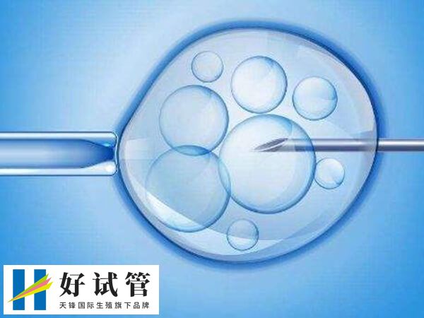 三代试管进行性别筛选在国内是违法的