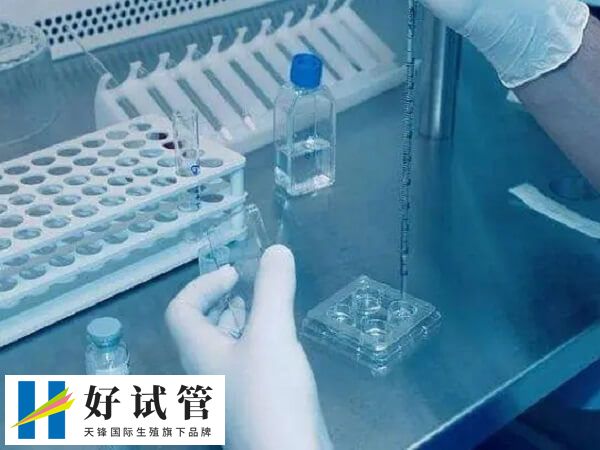 义乌做试管婴儿哪个医院好(图1) 义乌地区的医院暂未开展试管技术