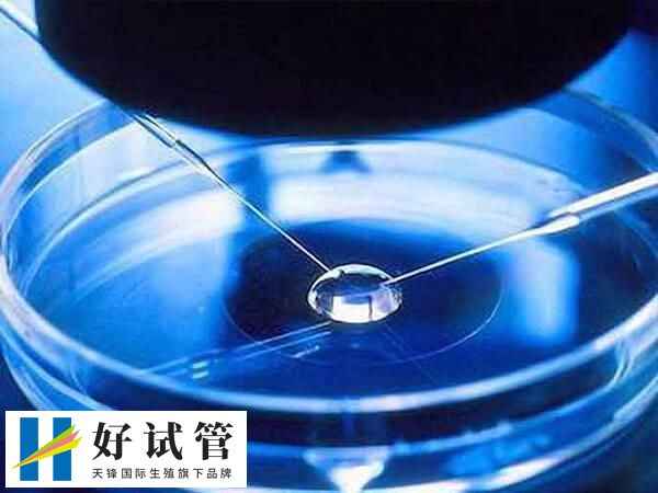 第四代试管技术的争议很大
