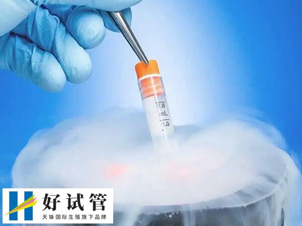 女人冻卵最佳年龄是多少岁(图1) 未婚单身不允许冻卵