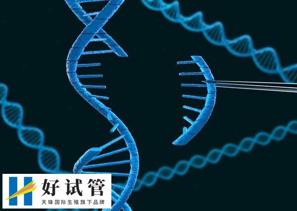 染色体cnv缺失是什么意思(图1) 染色体是基因的载体