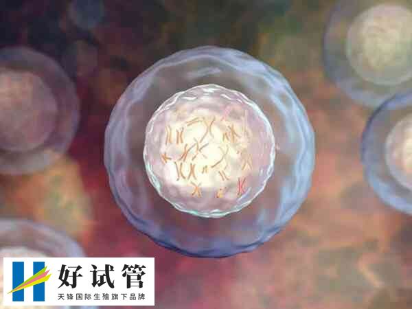 三代试管可不可以筛查红斑狼疮(图1) 红斑狼疮涉及100多个相关基因