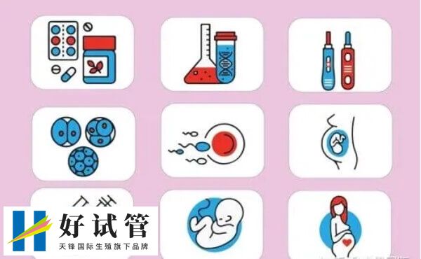 5ca囊胚可以移植