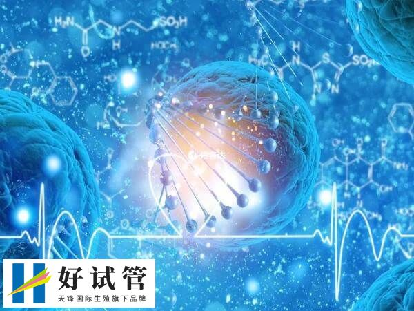 试管可能因移植多个胚胎导致多胎妊娠