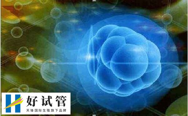 自然周期调内膜不适用外源性药物