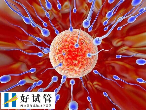 试管婴儿对女性身体的伤害有多大(图1) 在正规医院做试管风险较小