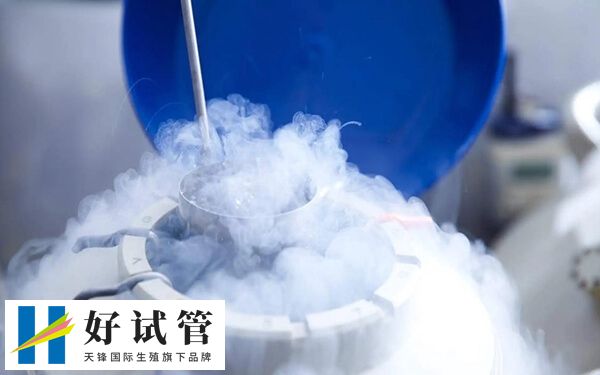 一次冻精可做几次试管(图1) 一次冻精可做2-3次试管