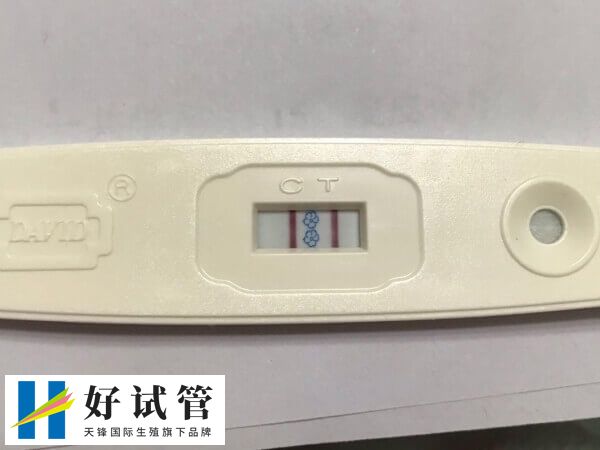 胚胎移植第15天出血但测出双杠是什么情况(图1) 验孕棒测出双杠可能是怀孕了