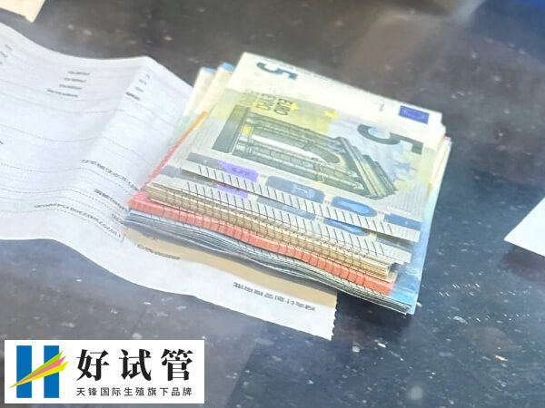 冻好20粒卵多少钱(图1) 卵子冷冻是指将从母体获得的优质成熟卵子