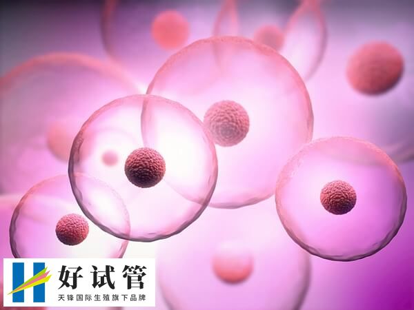 冻好20粒卵多少钱(图2) 药物促排卵费用通常在5000元至10000元