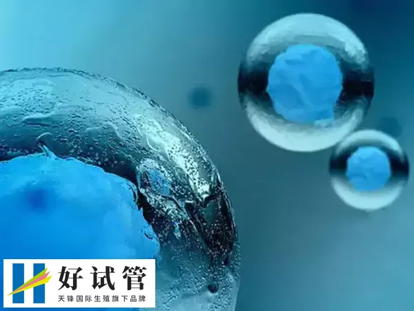 冻卵试管并非人人都能进行