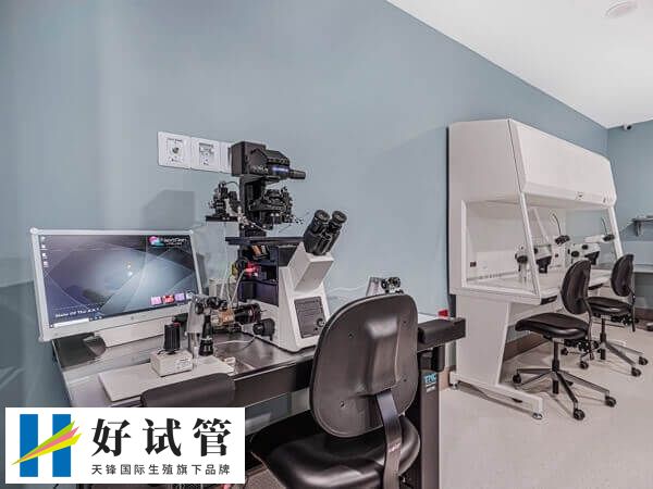 试管胚胎4AA好还是5bb好(图1) 胚胎4AA是一级胚胎